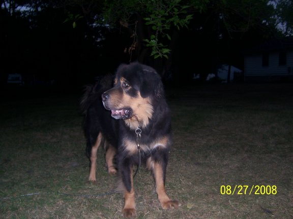 100_0898.jpg